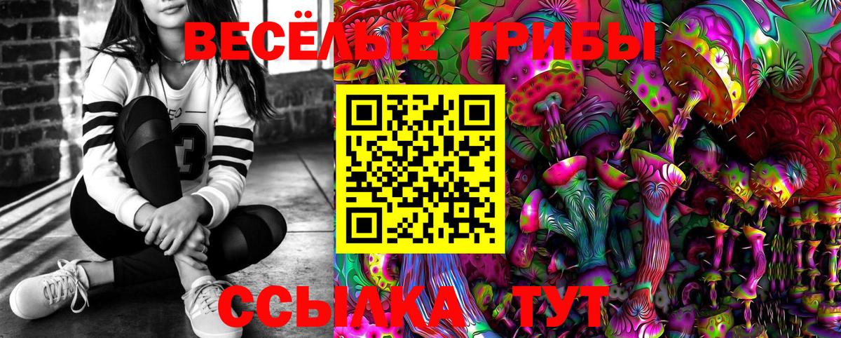 Псилоцибиновые грибы прущие грибы Владивосток