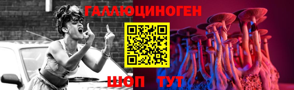 Псилоцибиновые грибы Cubensis  Вход с VPN  Владивосток 